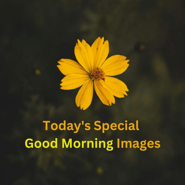 todays special good morning images today special good morning images