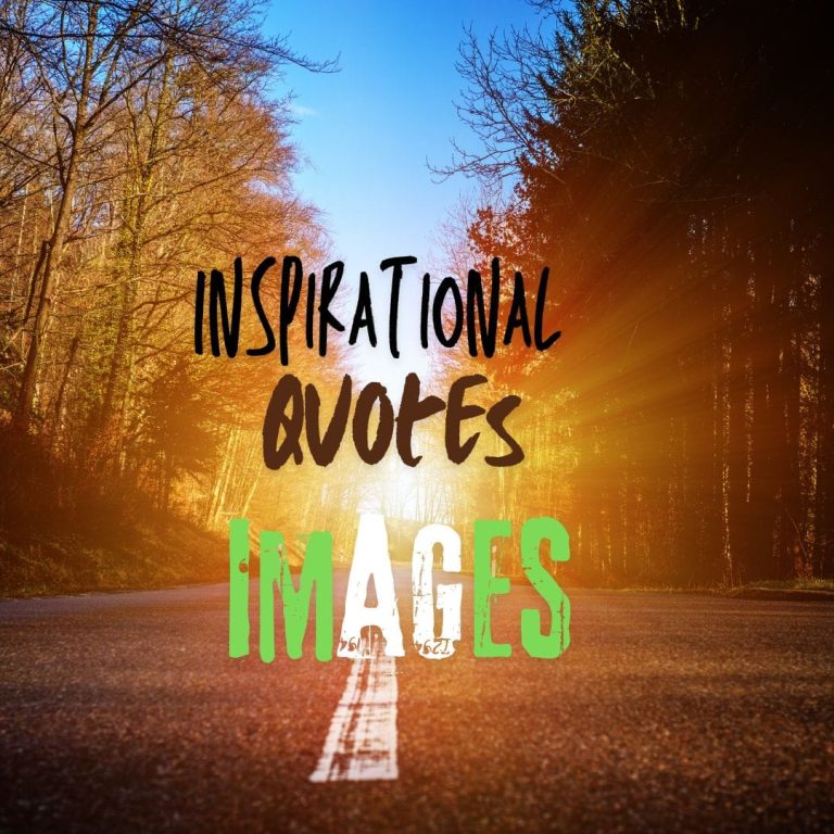 new design 45+ Good Morning Quotes Images for Positive Vibes Inspirational