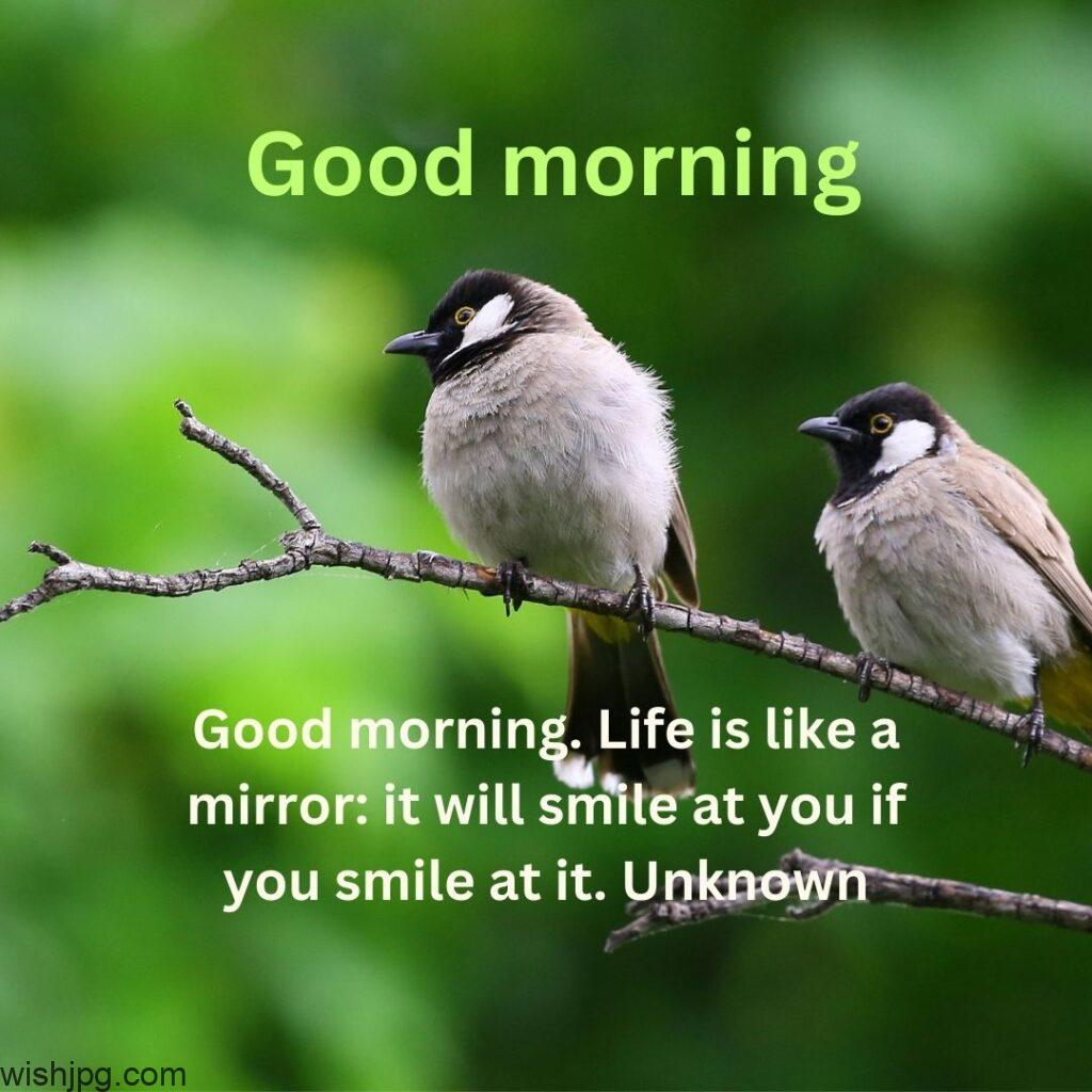 green background good morning quotes images and pair of cute birds