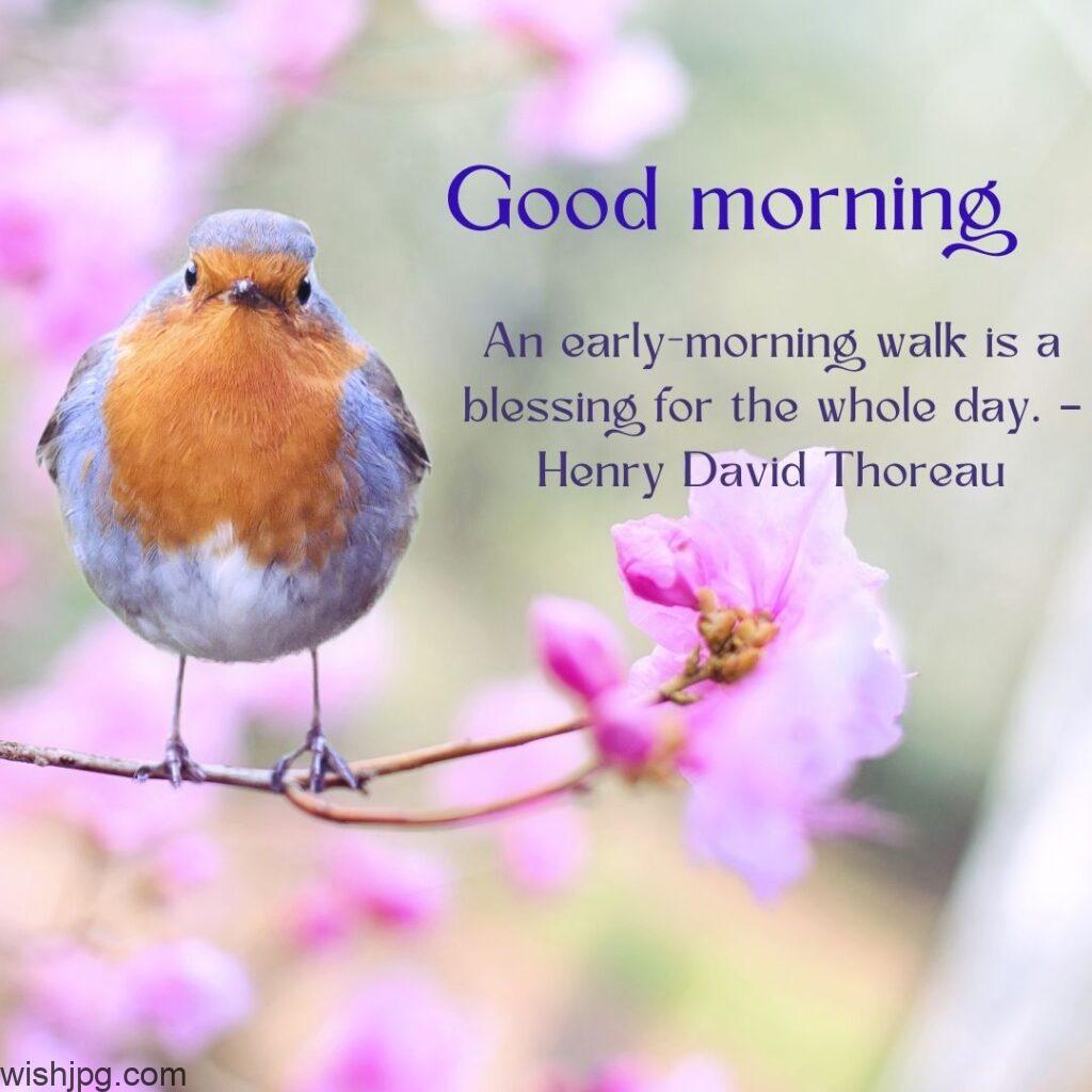 a bird is sitting on a flower branch good morning quotes images