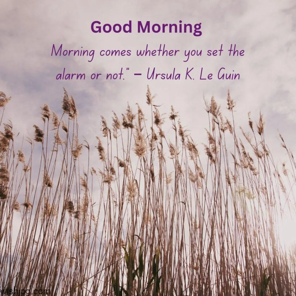 good morning quotes images 5