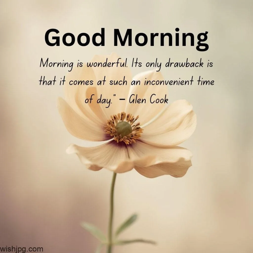light Brown color flower good morning quotes images