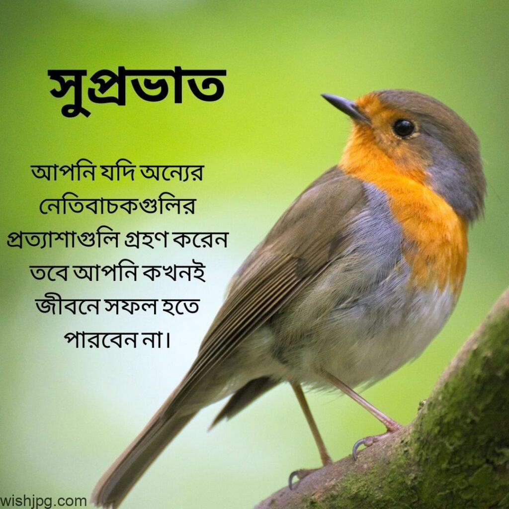 blar green background fresh good morning quotes images with cute bird