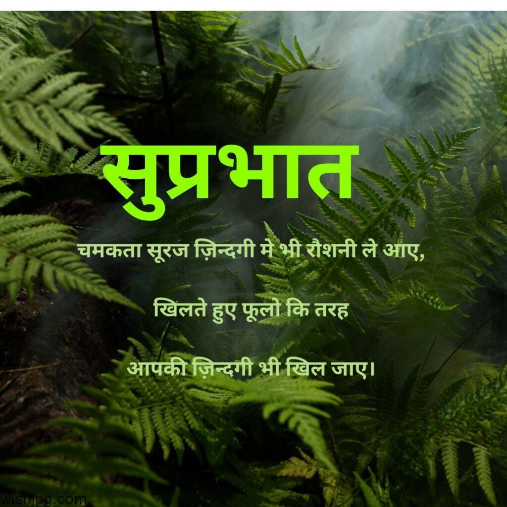 dense forest background good morning quotes images in hindi