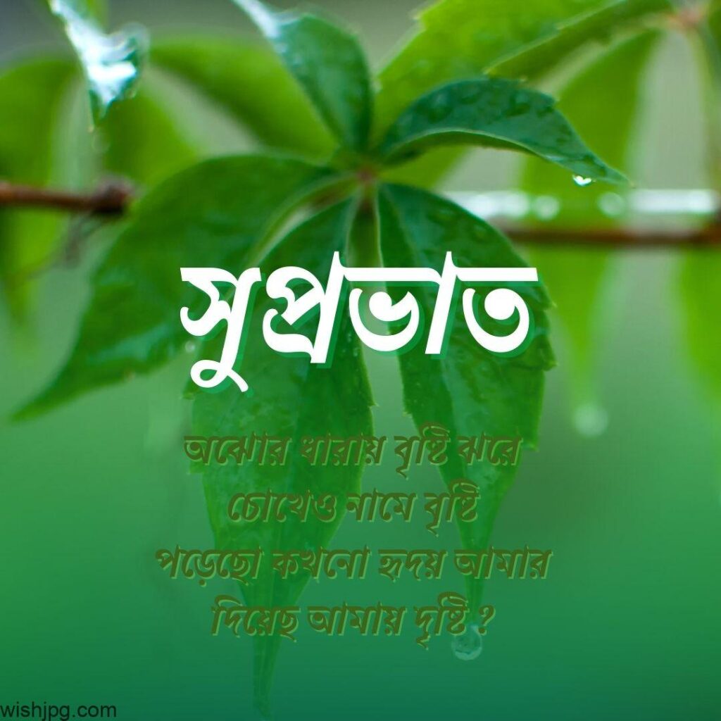 Close-up of a green leaf with water droplets hanging from it, in the background. Bengali text in white overlays the image, translating to: "Greet: Even today, the rain falls, somewhere else rain falls, do you give me rain from your heart?".