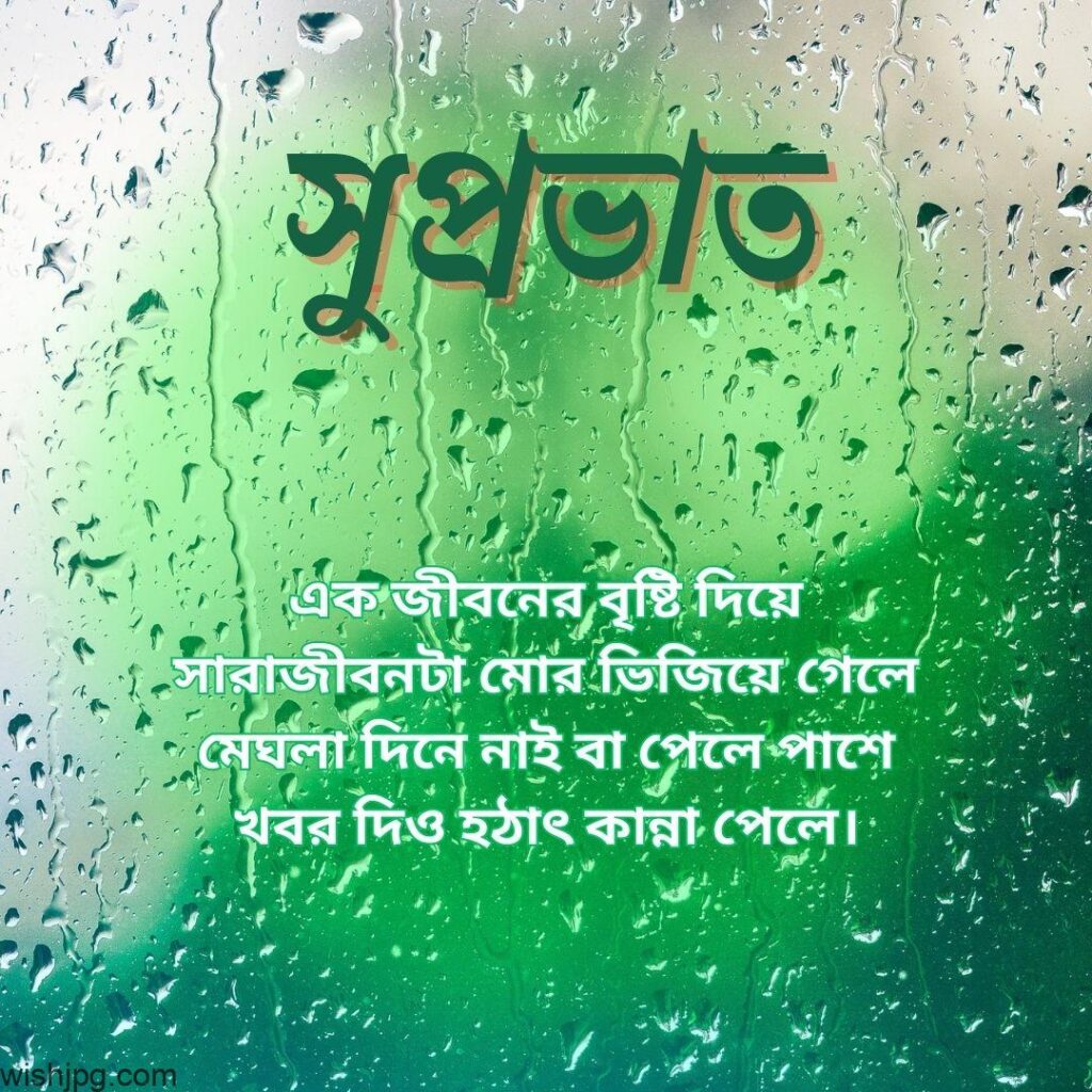 The image features a Bengali text with a background of green foliage covered with dew droplets. The text reads, "শুভ্রতা" (meaning purity) and a Bengali poem about purity and life's journey with rain and hope.