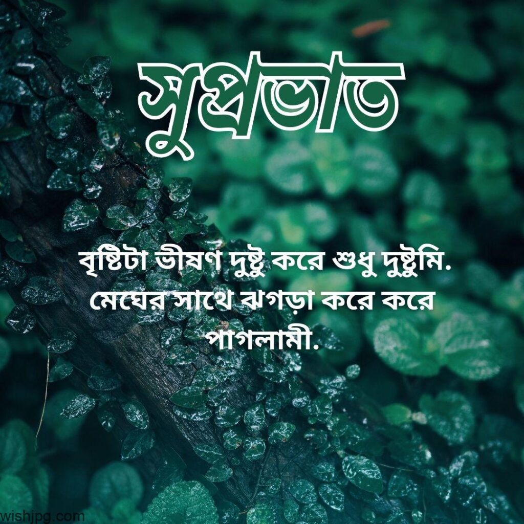 Green leaves with water droplets are featured in the background. The text in Bengali, "শুভ্রভাত," translates to "Good Morning." Below it, more Bengali text reads, "বৃষ্টিটা ভীষণ দুঃখ করে শুধু দুঃখি. মেঘের সাথে ঝগড়া করে করে পাগলামী.