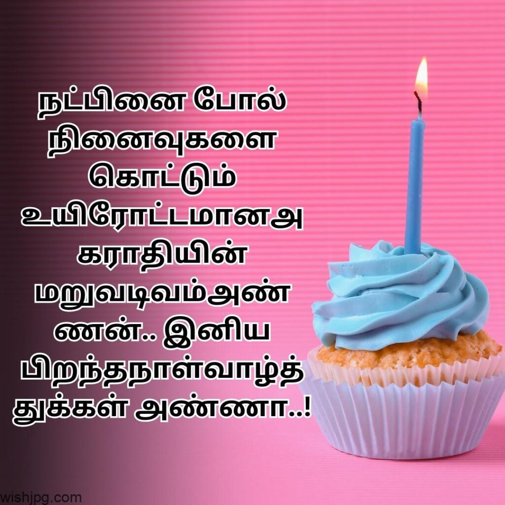 pink background Birthday Wishes for Brother tamil quotes