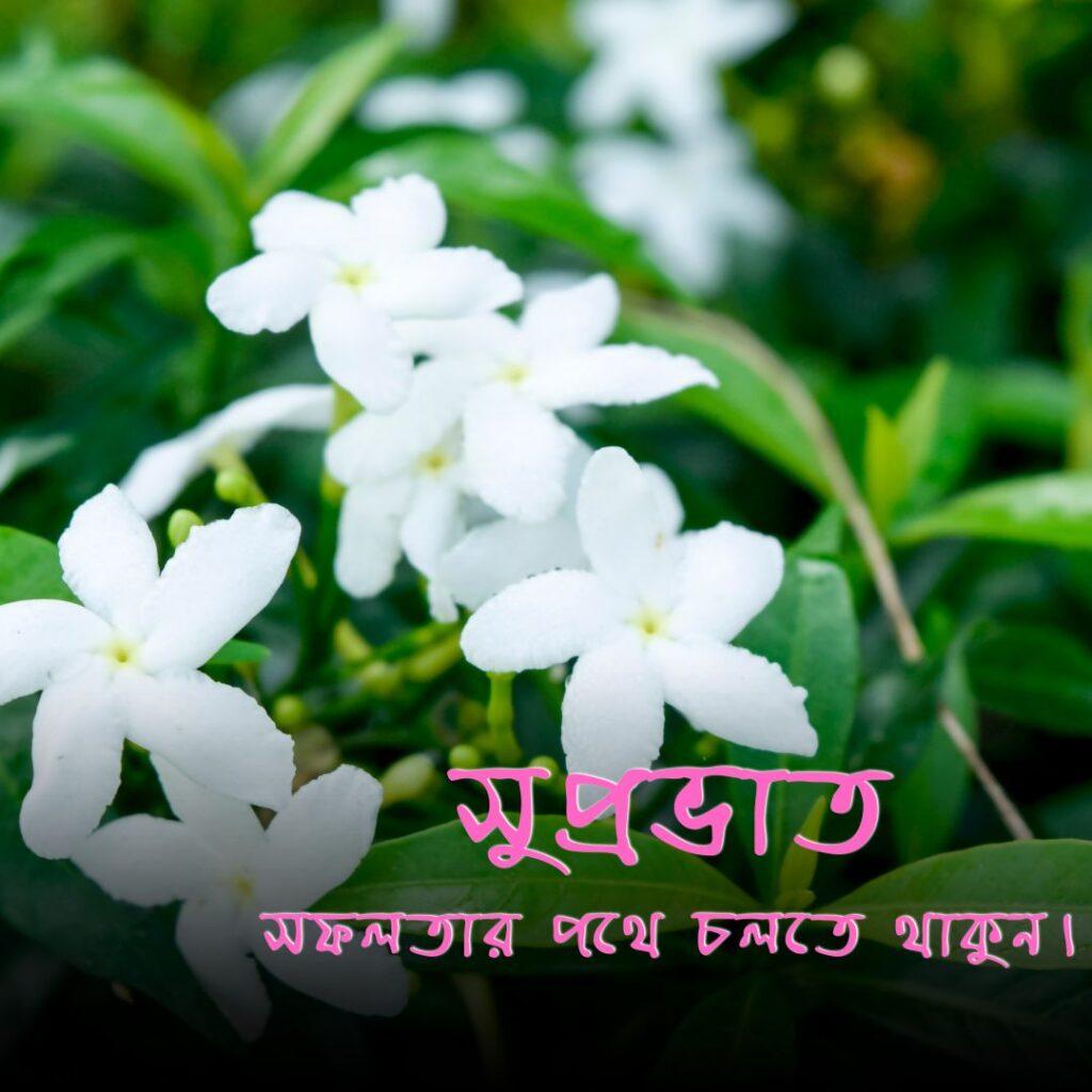 bangla new subho sokal 16 Good Morning Images in Bengali