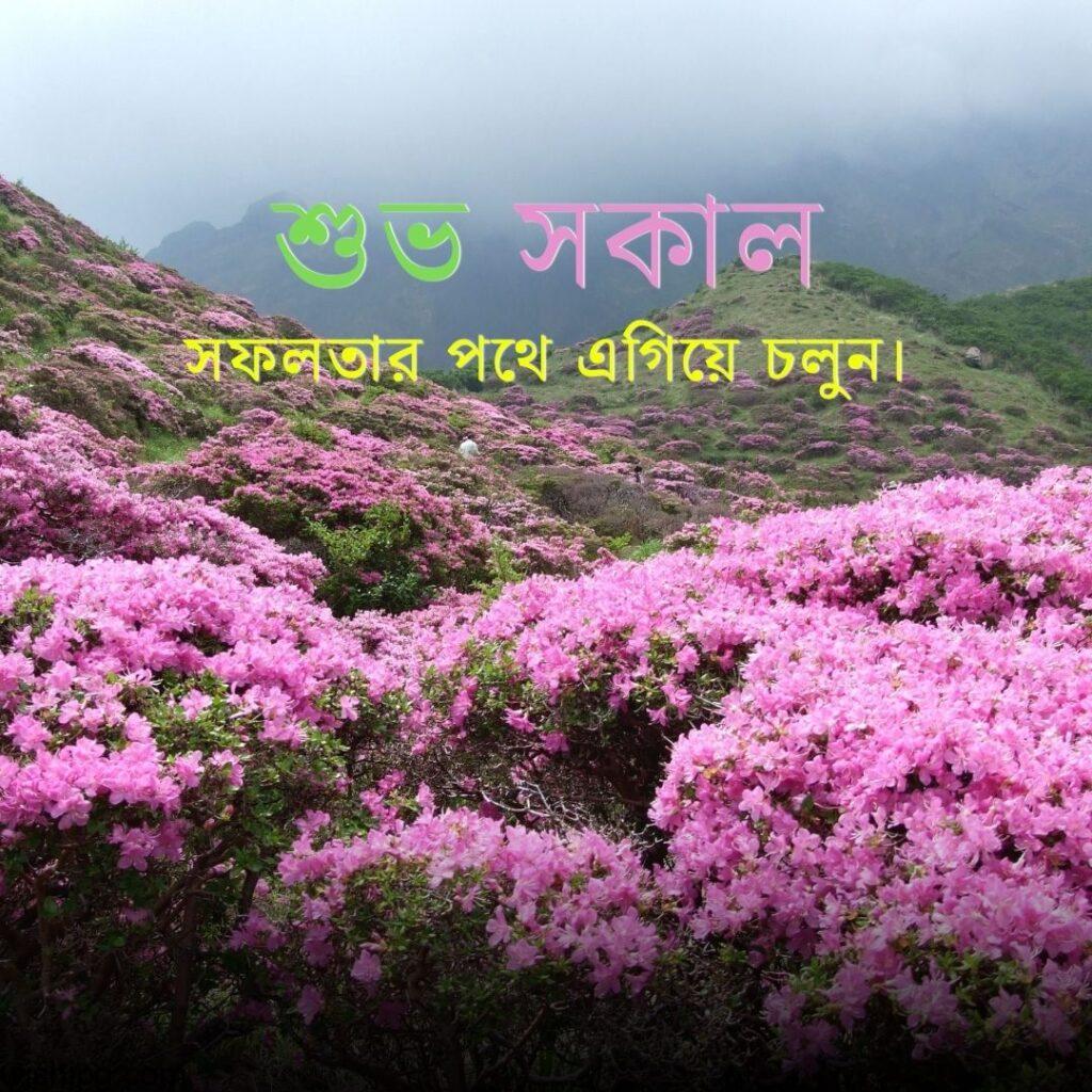 bangla subho sokal Good Morning Images in Bengali