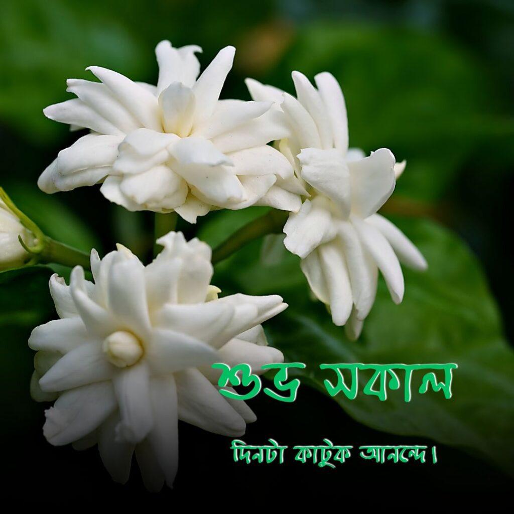 bangla subho sokal 11 Good Morning Images in Bengali