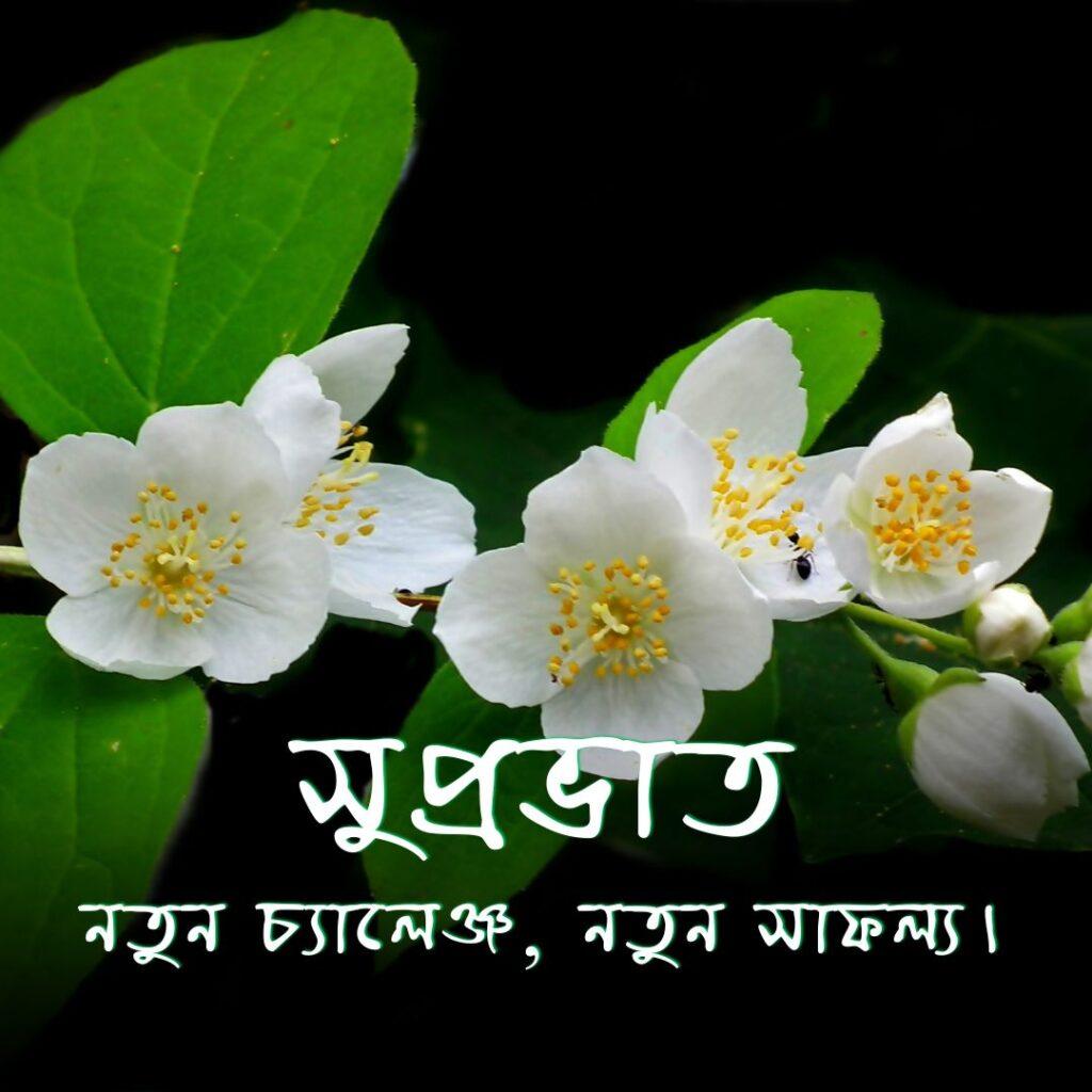 good morning images in bengali 15 Good Morning Images in Bengali