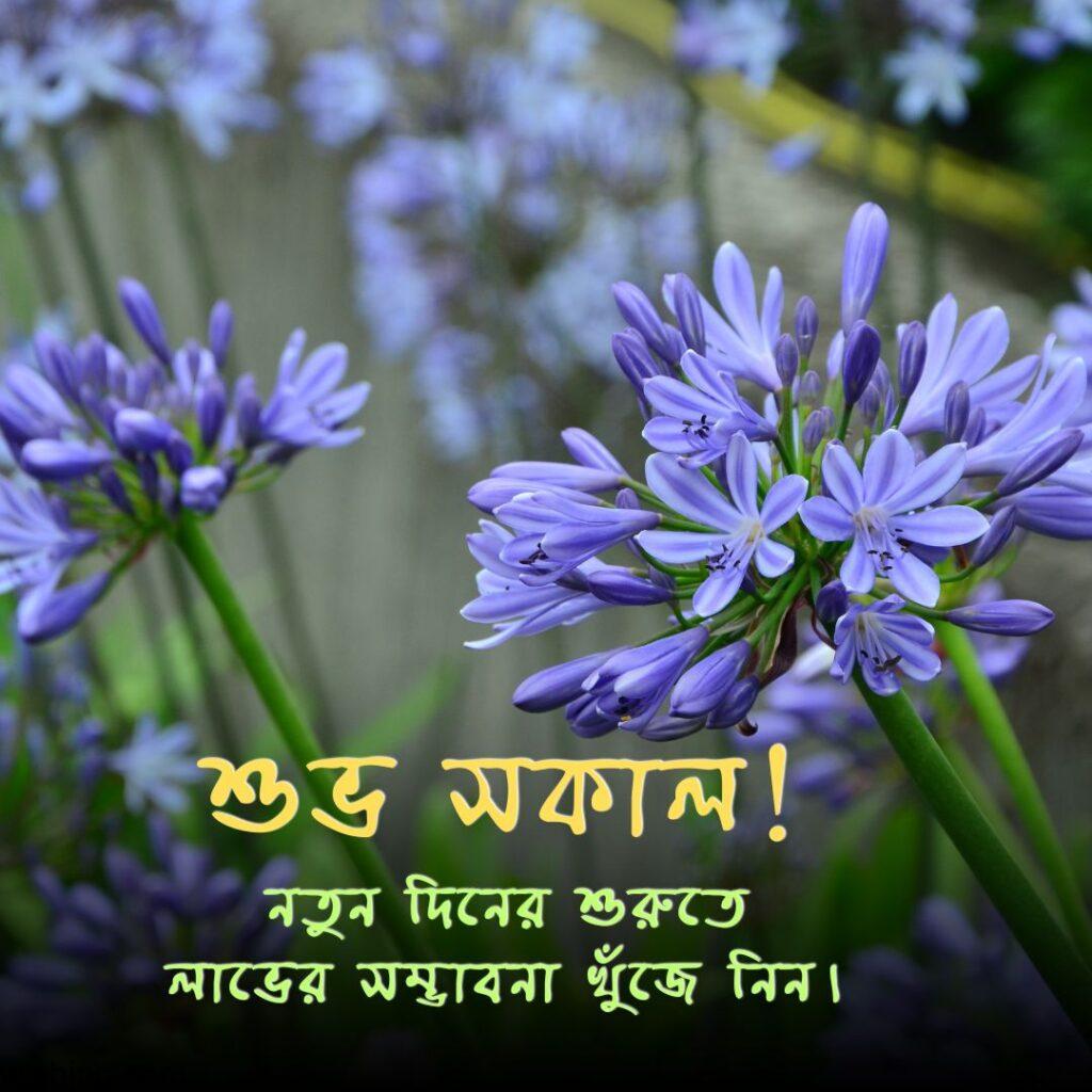 good morning images in bengali 17 Good Morning Images in Bengali