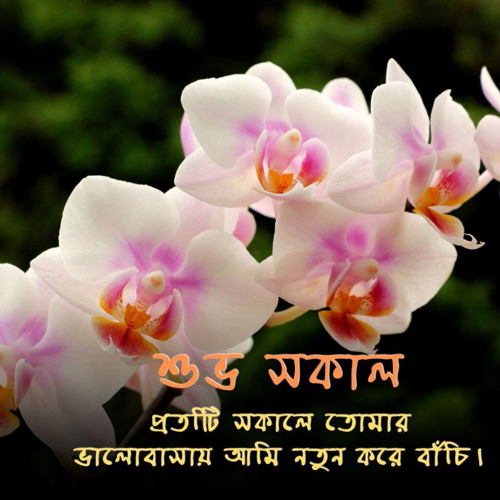 good morning images in bengali 19 Good Morning Images in Bengali