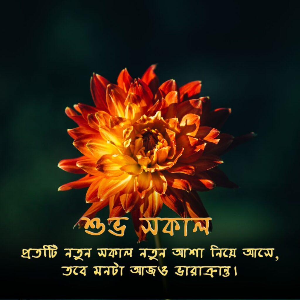 good morning images in bengali 20 Good Morning Images in Bengali