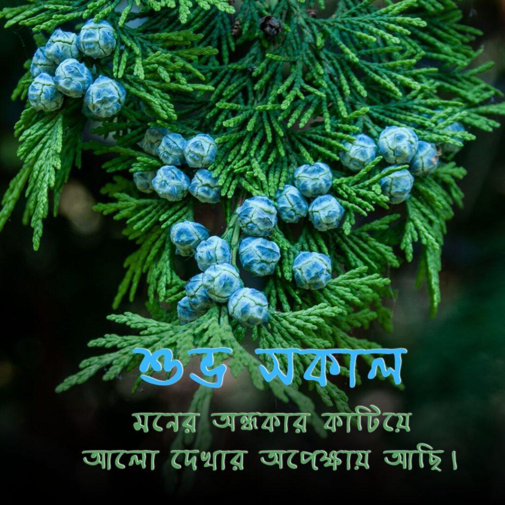 good morning images in bengali 21 Good Morning Images in Bengali