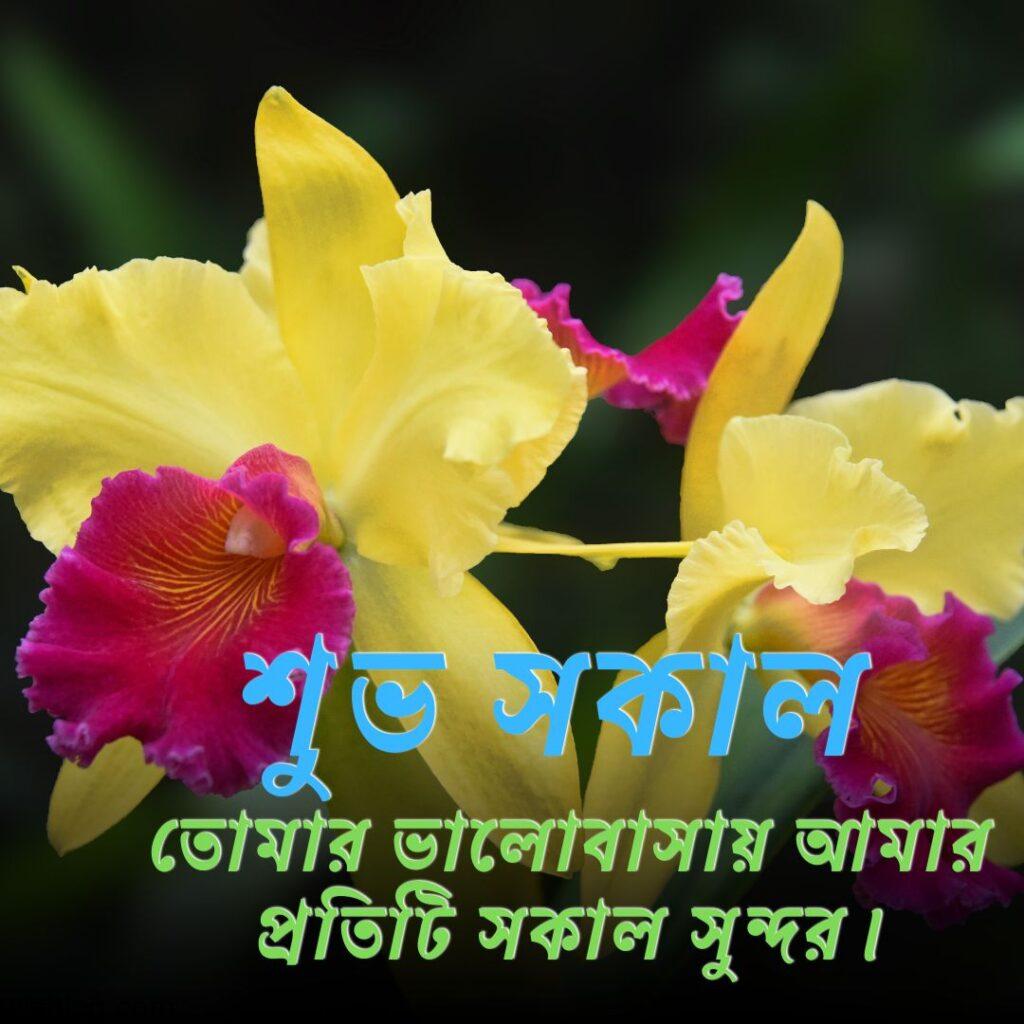 good morning images in bengali 22 Good Morning Images in Bengali