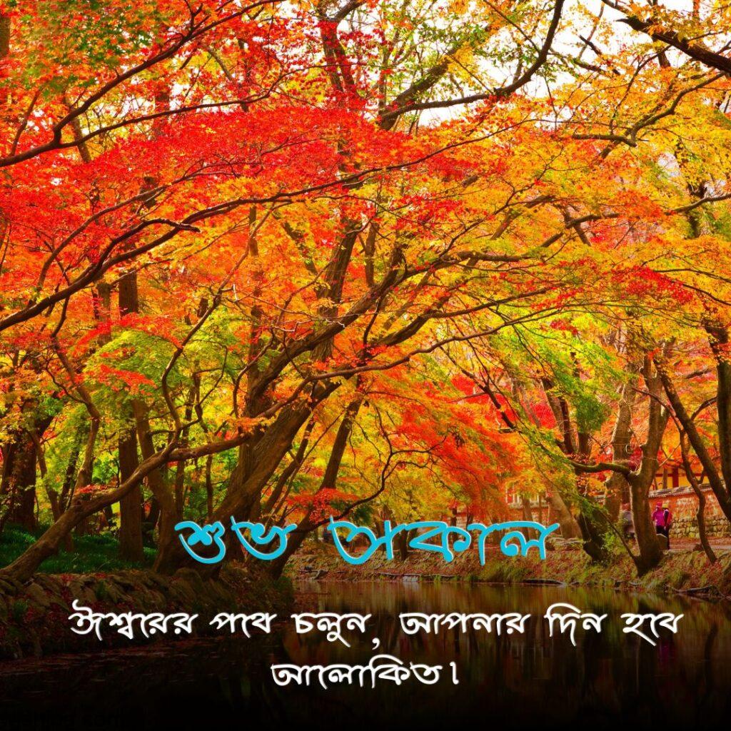 good morning images in bengali 31 Good Morning Images in Bengali