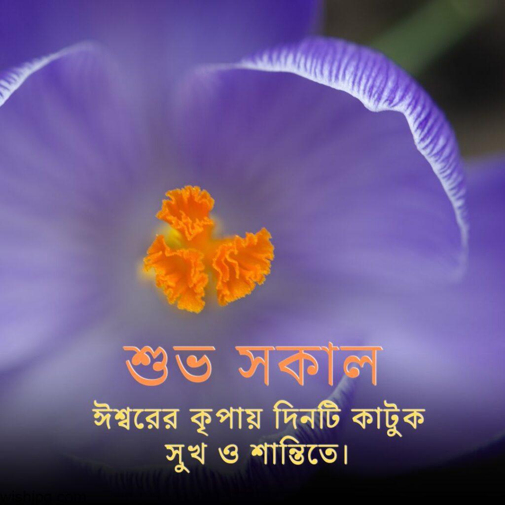 good morning images in bengali 33 Good Morning Images in Bengali