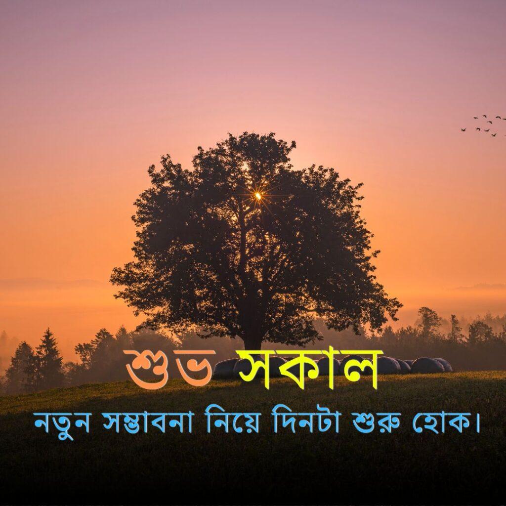 new subho sokal 35 Good Morning Images in Bengali