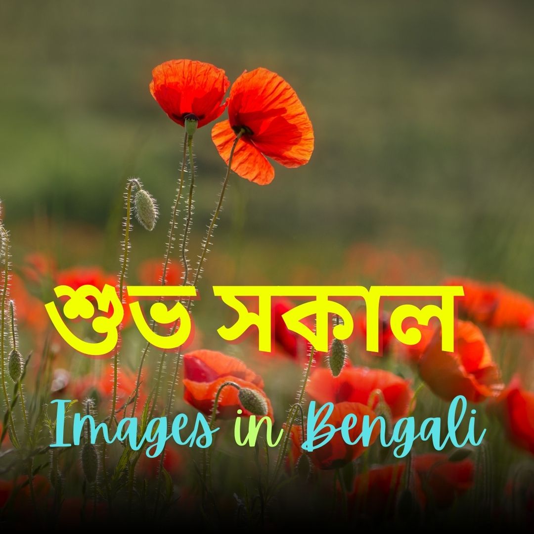 new subho sokal 38 Good Morning Images in Bengali