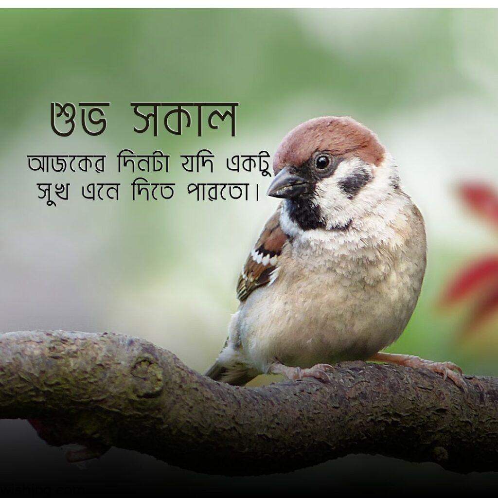 subho sokal 25 Good Morning Images in Bengali