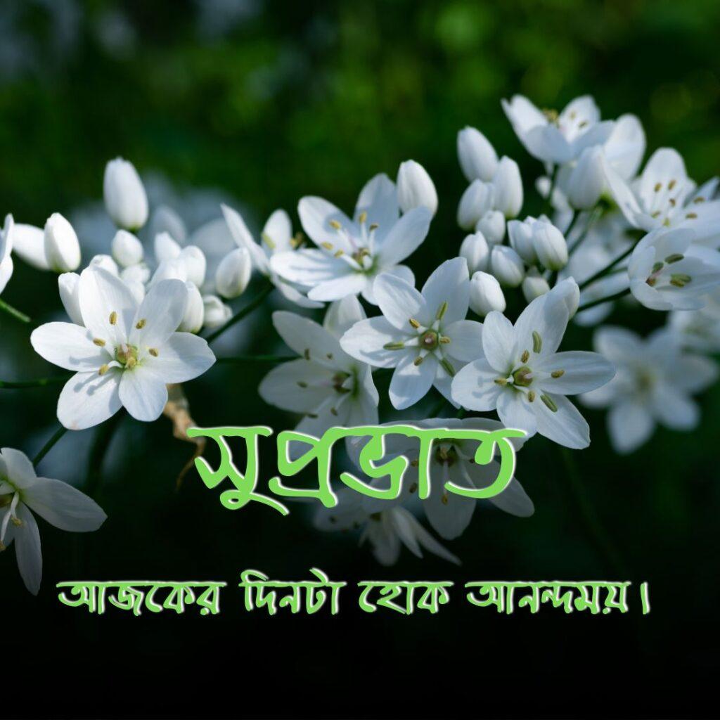 today good morning images in bengali Good Morning Images in Bengali