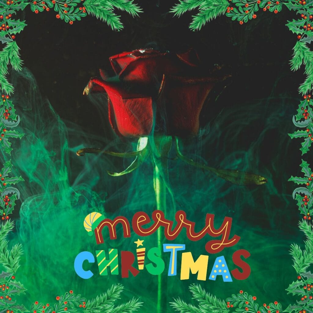 rose christmas wallpaper 