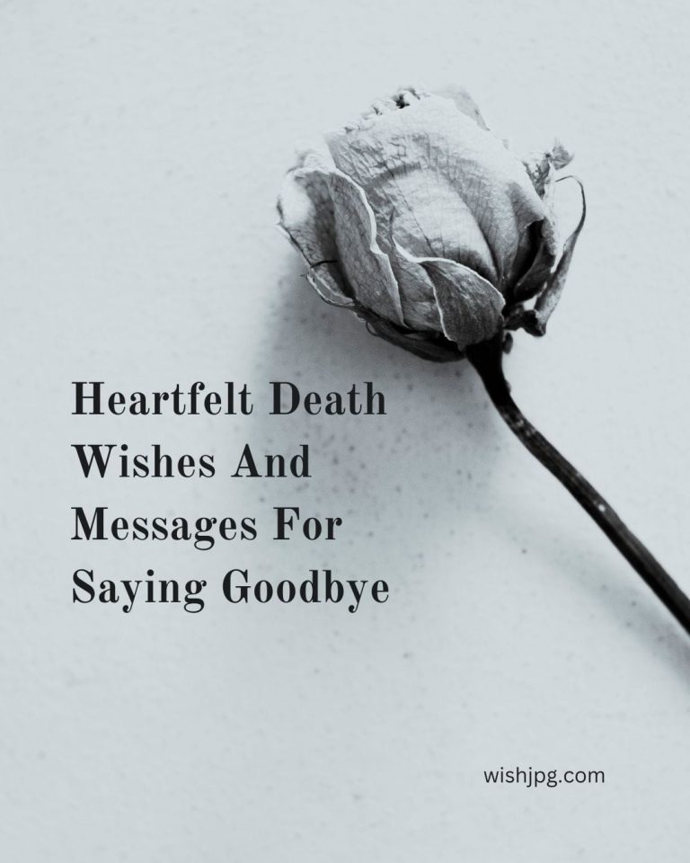 50+ Sad Death Wishes And Messages For Loved Ones Death Wishes And Messages banner, single rose